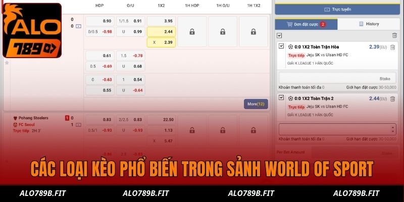 Các loại kèo phổ biến trong sảnh World Of Sport