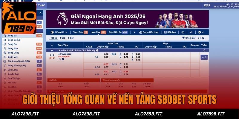 Giới thiệu tổng quan về nền tảng SBOBET Sports
