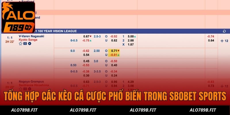 Tổng hợp các kèo cá cược phổ biến trong SBOBET Sports